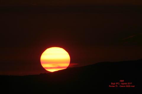 Alba_003