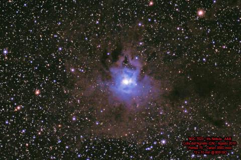 NGC 7023 - Iris Nebula