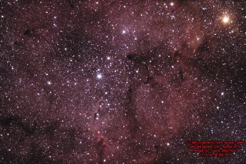 IC1396  Nebulosa Proboscite di Elefante