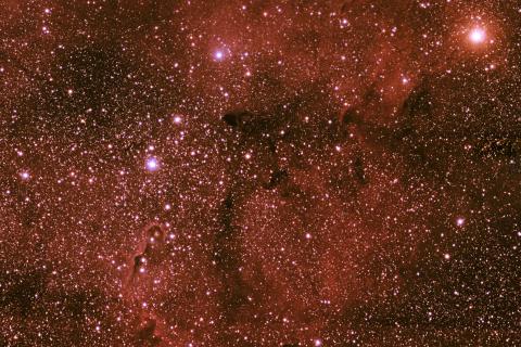 IC1396 -  Elephant's Trunk Nebula