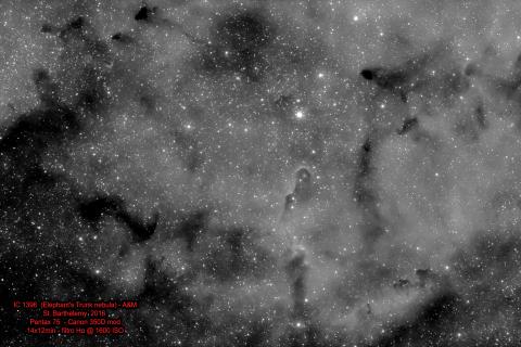IC1396 - Elephant's trunk nebula