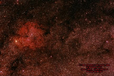 IC1396 - Elephant's trunk nebula