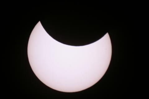 IMG_0955